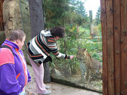 foto č.2: Zooterapie - Zoologická zahrada Brno