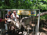 foto č.4: Výlet do Dinoparku Vyškov