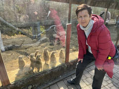 foto č.7: Návštěva zoologické zahrady v Brně